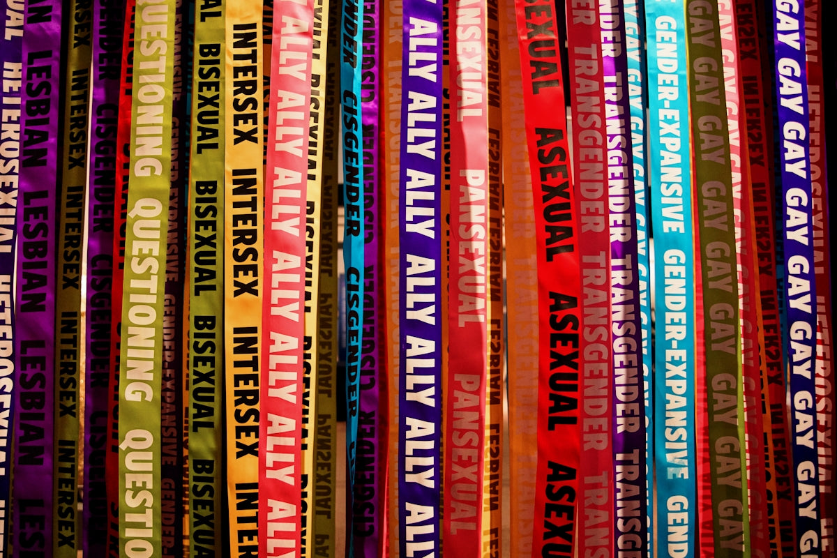 Why Accurate Queer Representation Matters An Explainer