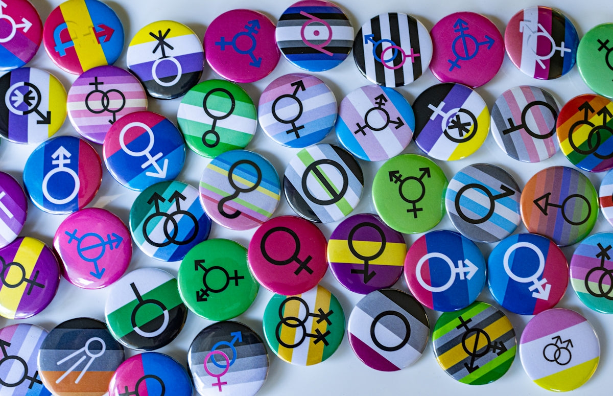 Debunking Myths About Queer Representation in Politics