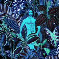 Hidden Hunks – Tropical Jungle Tee