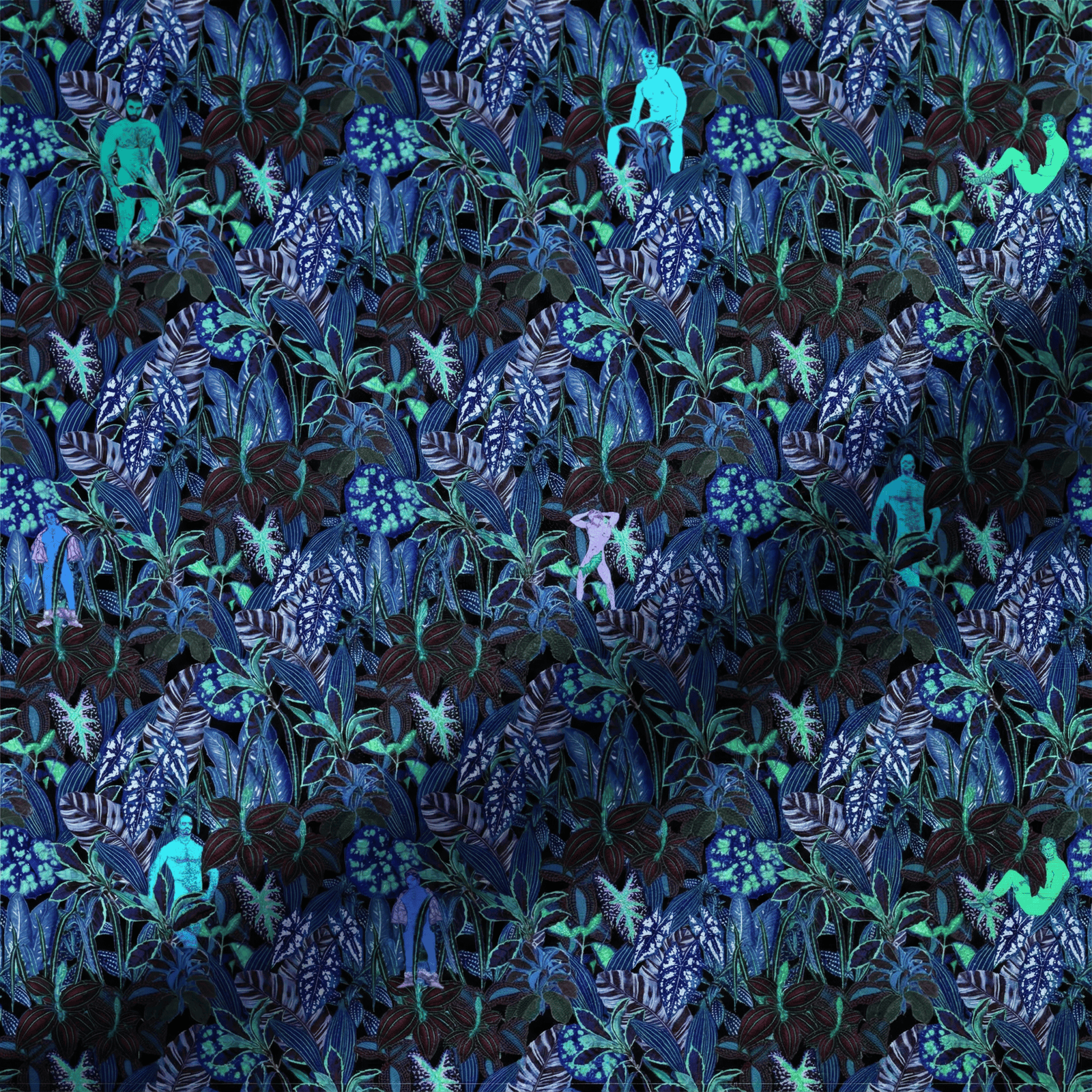 Hidden Hunks – Tropical Jungle Tee